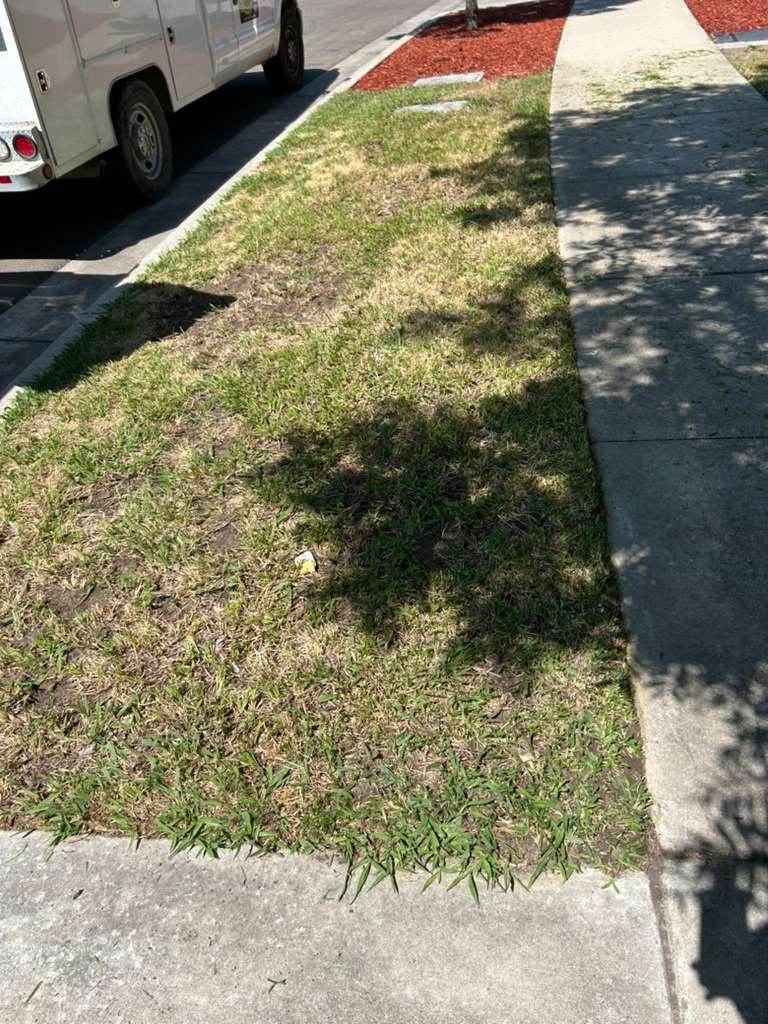 Vasquez Handyman Property Transformation