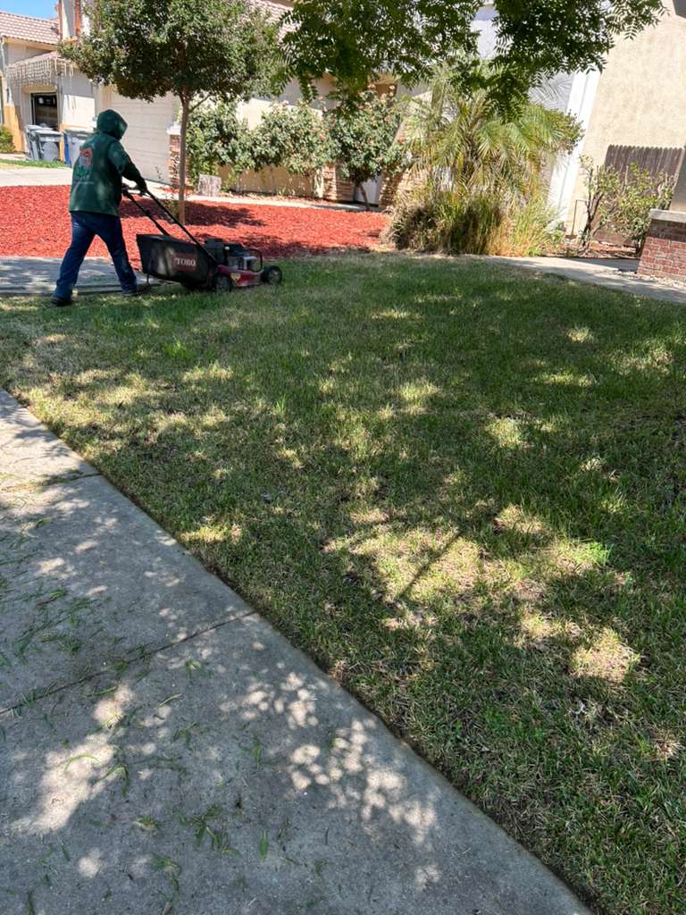 Vasquez Handyman Project 5