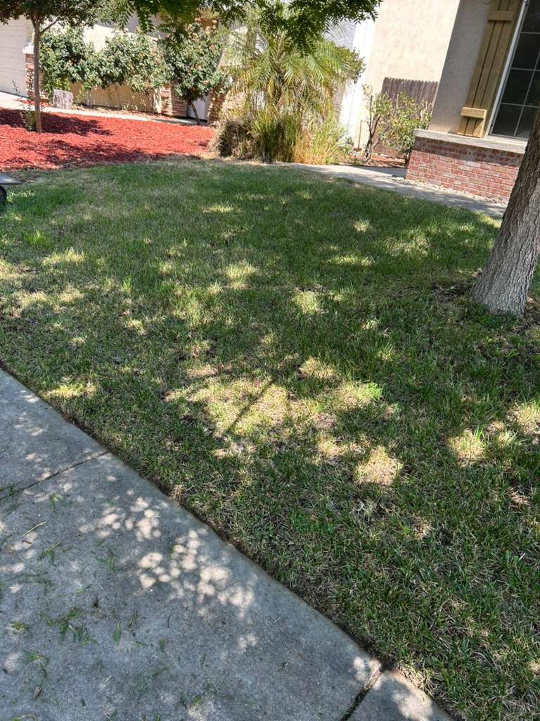 Vasquez Handyman Full Service