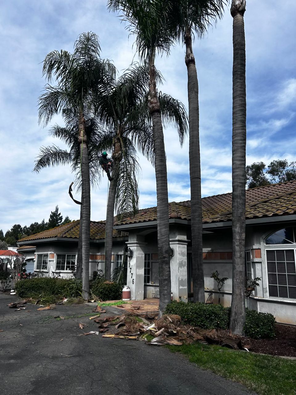 Vasquez Handyman Latest Work